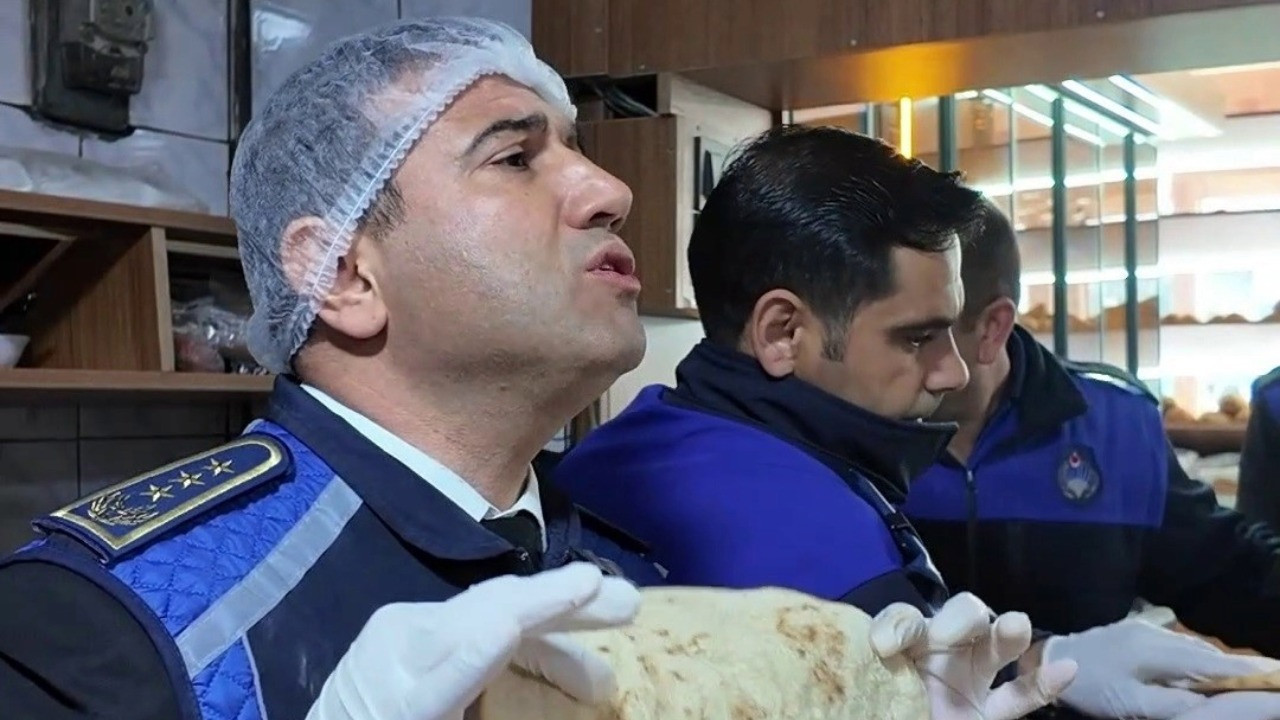 Görüntüler mide bulandırdı, zabıta müdürü isyan etti: Korkuyorum