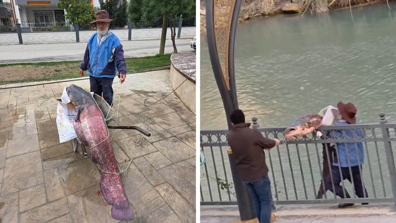 Oltayla 30 kiloluk balık yakaladı