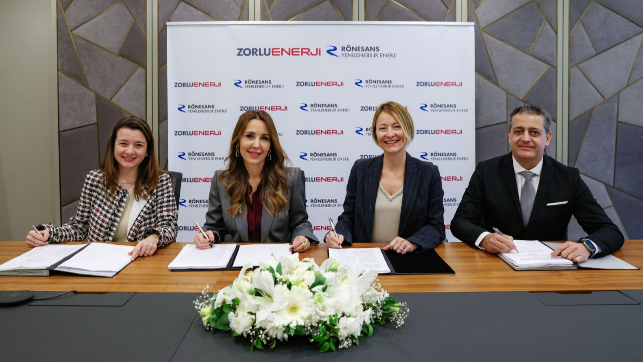 Rönesans Gökçedağ RES'i satın aldı