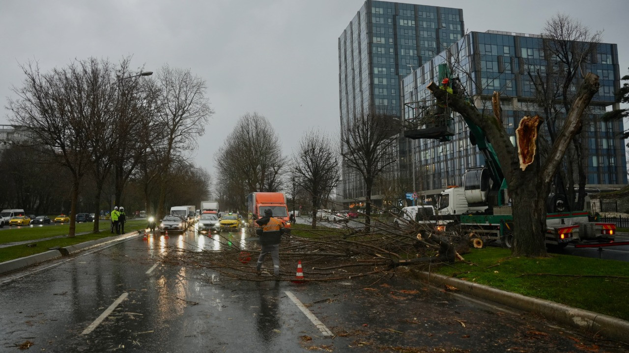 Bakırköy'de faciadan dönüldü: Ağaç 4 aracın üzerine devrildi