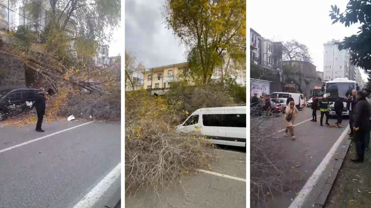 Samsun’da fırtına etkili oldu: Ağaçlar devrildi, yol kapandı