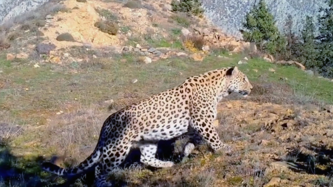 Tetiği çekmenin bedeli 45 milyon TL