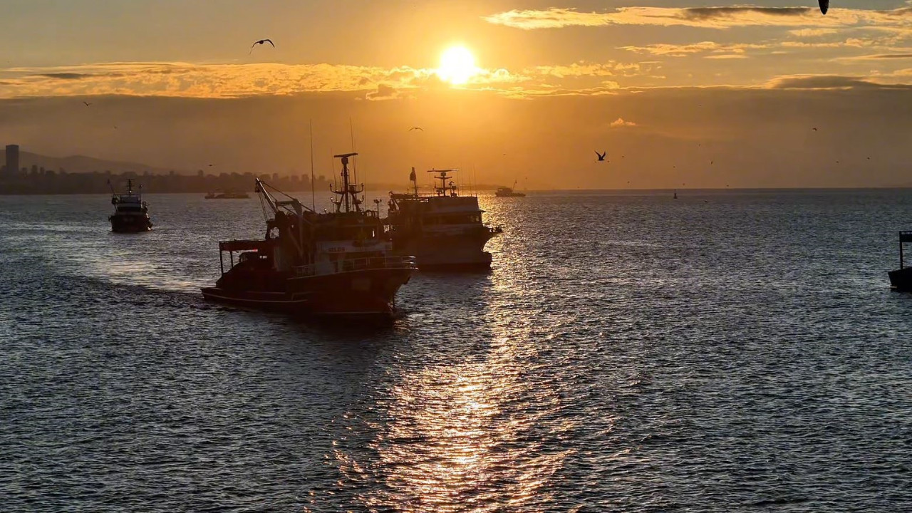 Balıkçılar yeniden denize açıldı