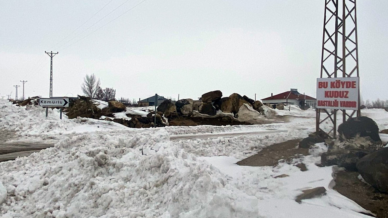 Bir köpekte kuduz çıktı, köy karantinaya alındı