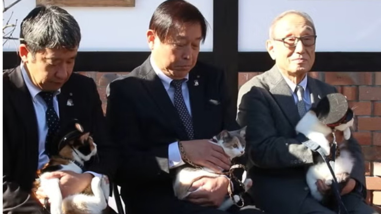 Kediler 'istasyon şefi' oldu, turistler akın ediyor