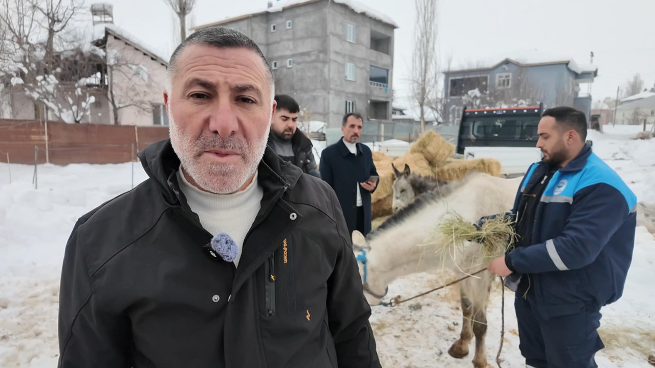 Sokağa terk edilen hayvanlara sahip çıkan besiciye yem desteği