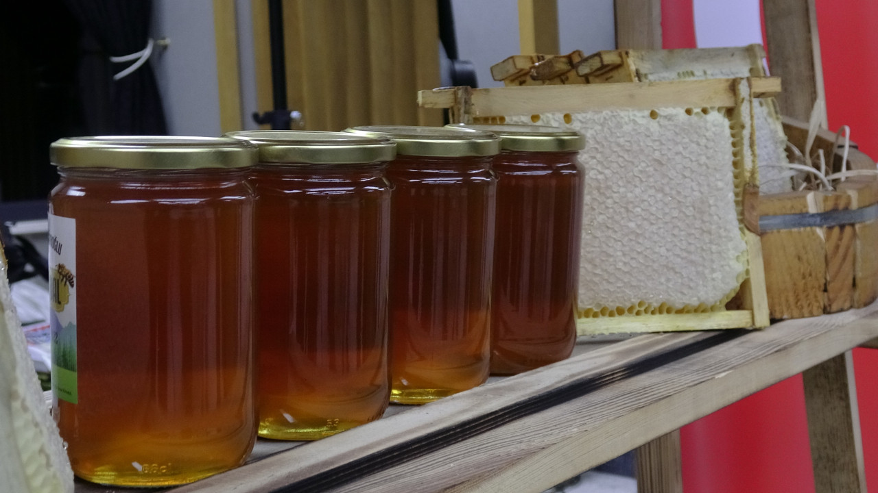 Ilgaz balının fiyatı altını solladı! Dünya rekoru kırdı...