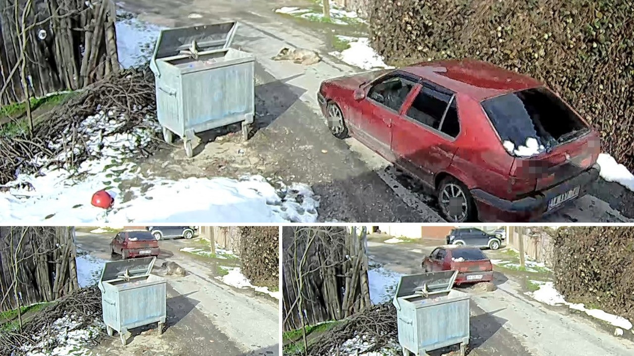 Yolda yatan köpeği ezip, yoluna devam etti