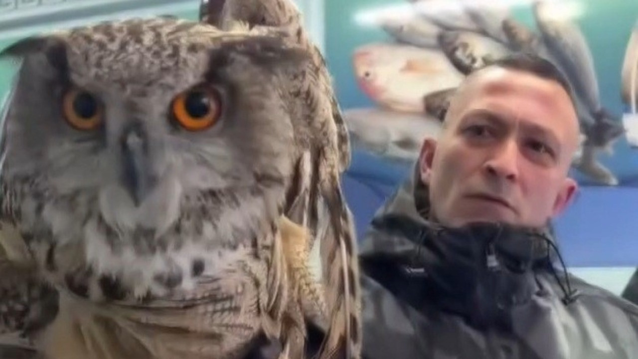 Soğuktan bitkin düşmüştü: Vatandaşlar kurtardı