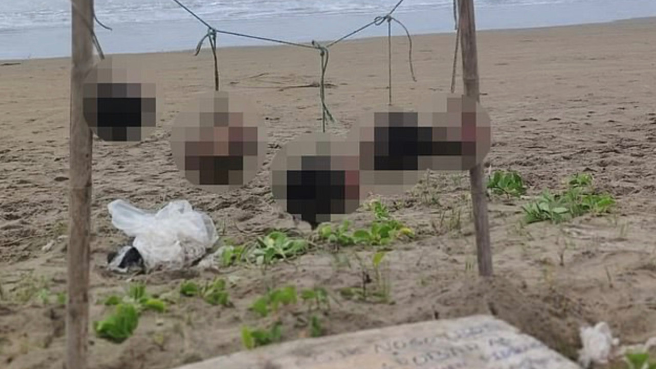 Turizm beldesinde korkunç olay: 5 kesik kafa bulundu