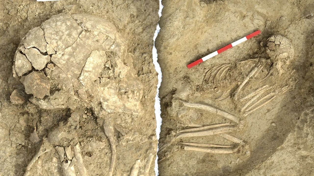 Arkeologları şaşırtan keşif: 6000 yıl önce aslan saldırısından sağ çıktı