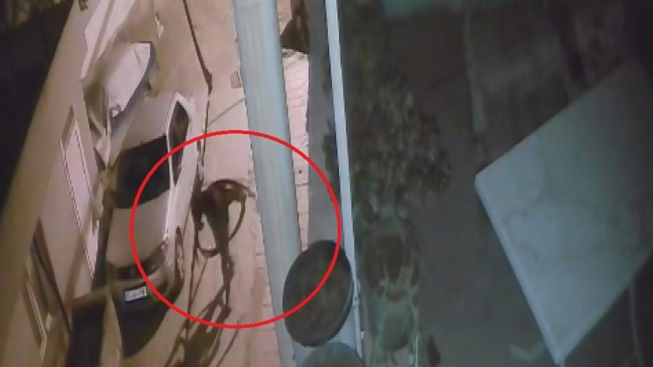 Hem ölümü göze aldılar hem de mahalleyi üç gün elektriksiz bıraktılar