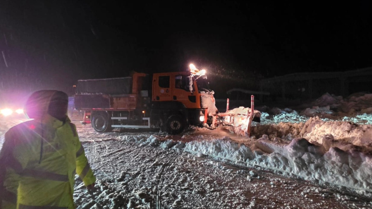Üç ahırın çatısı çöktü, 65 büyükbaş hayvan öldü