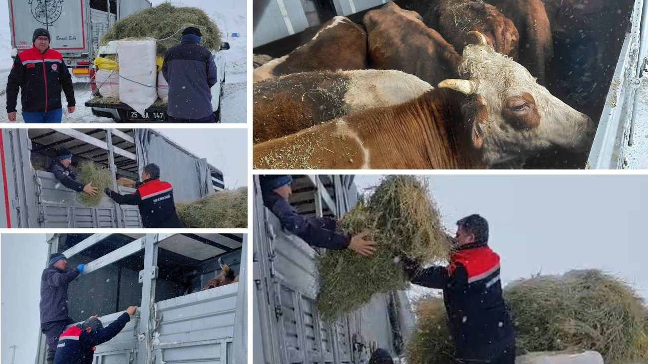 Tipide mahsur kalan TIR’daki hayvanlara saman ve ot desteği