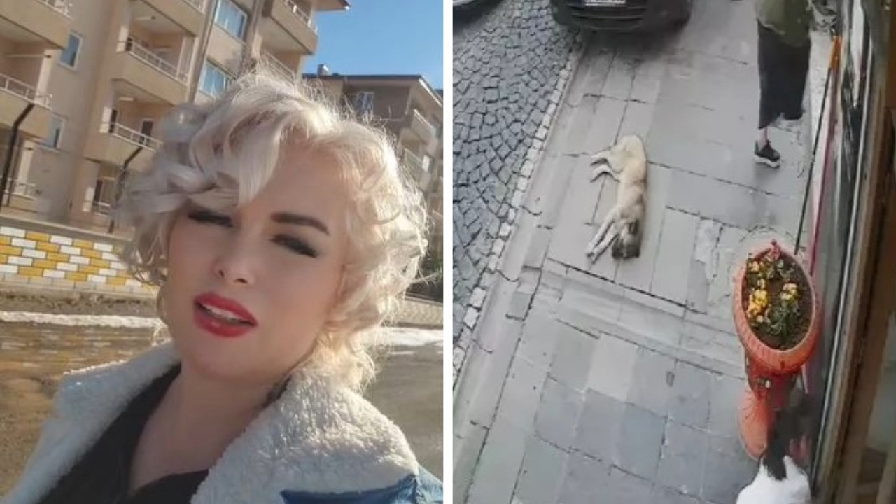Köpeği ezen taksicinin videosunu paylaşan kadın hapse girdi