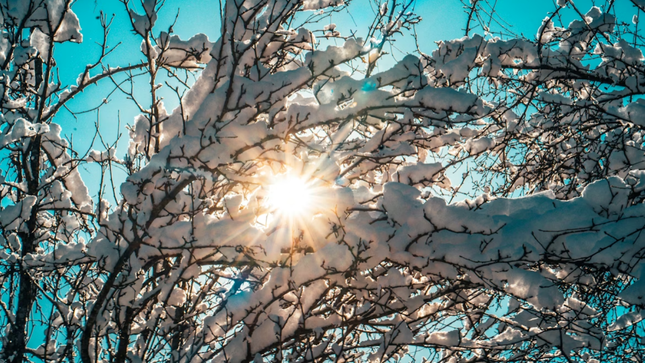 Meteoroloji: 2025 Aralık ayı son 55 yılın en sıcak 12’nci Aralığı oldu