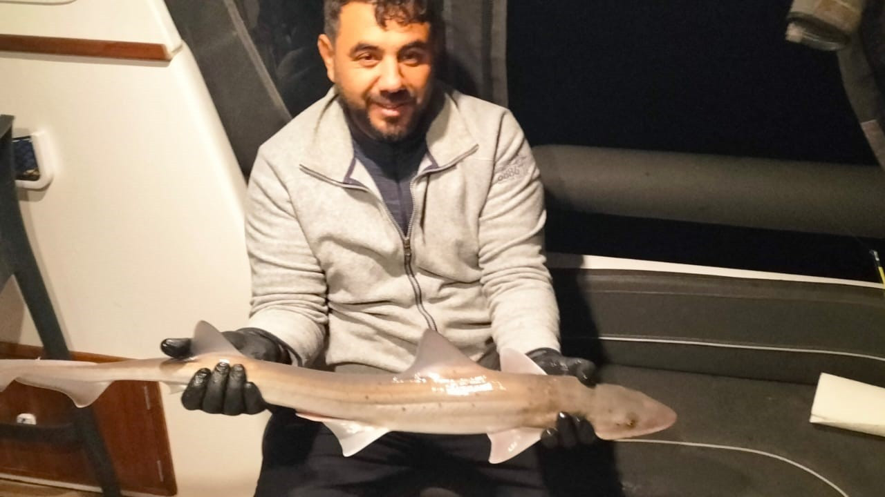 Oltasına köpek balığı takıldı