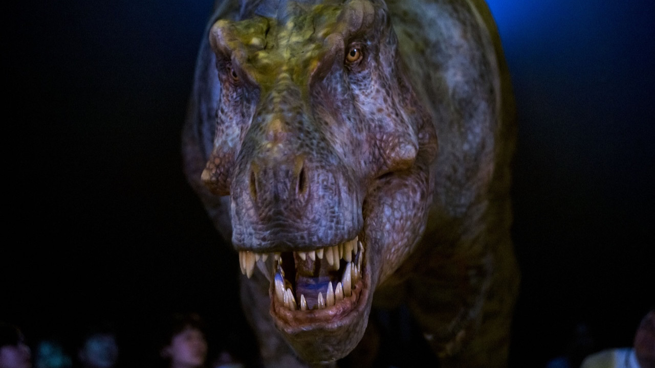 T-Rex'lerle ilgili çarpıcı araştırma: 40 yaşına gelince...