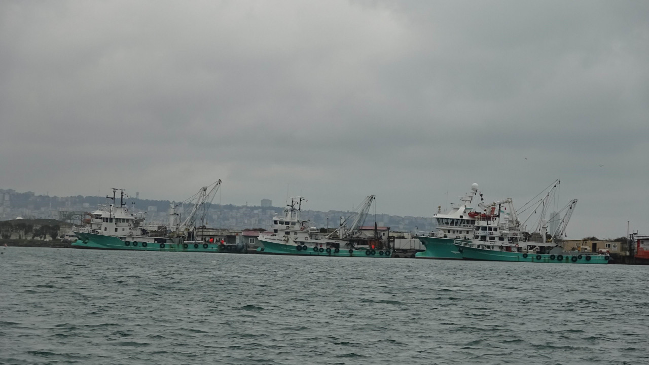 Balıkçıların gözü Gürcistan yolunda: Hamsinin dönmesini bekliyorlar