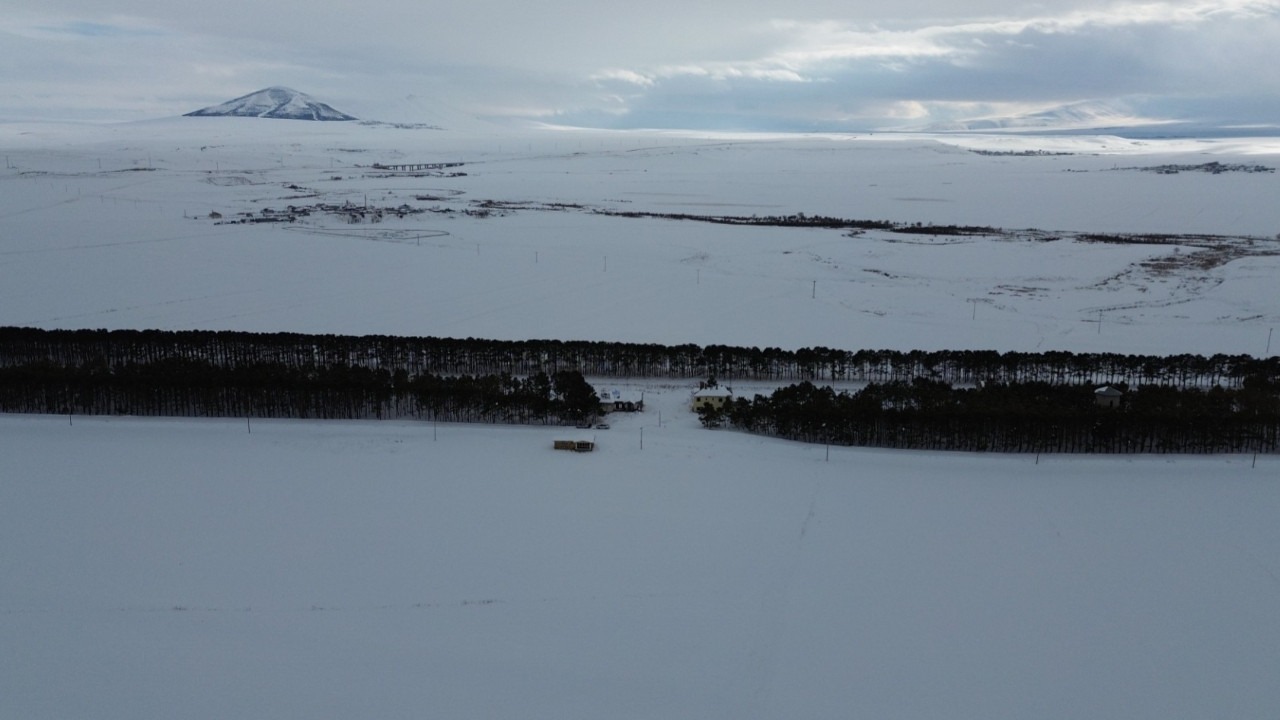 Bozkırın ortasında vaha yarattılar: Doğu Ekspresi’nin gizli cenneti