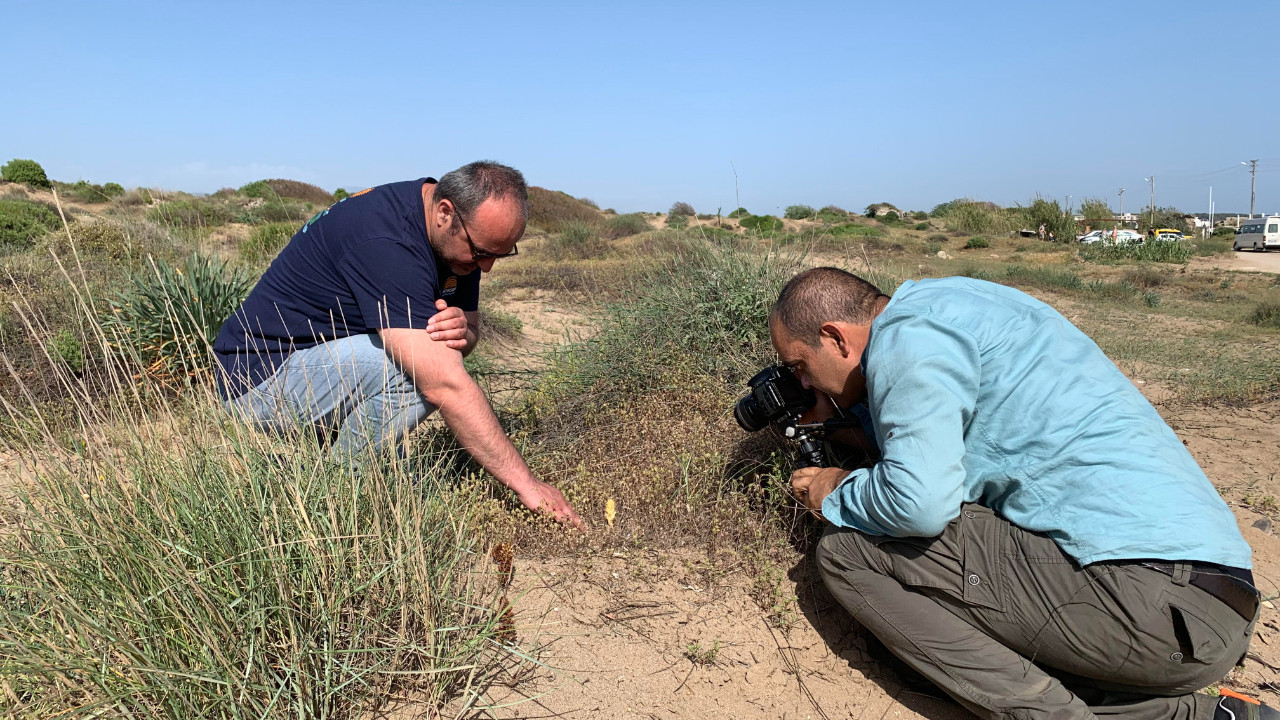 Doğayı korumayan yandı: Koparmanın cezası 699 bin lira