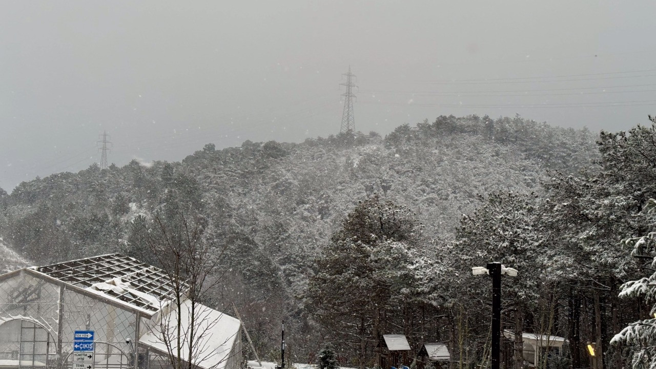 İstanbul'da çok sayıda uçak seferi iptal edildi
