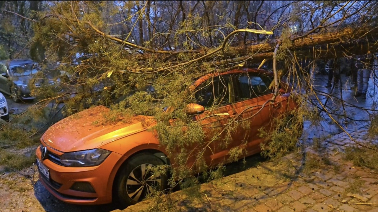 Kadıköy’de ağaç otomobilin üzerine devrildi