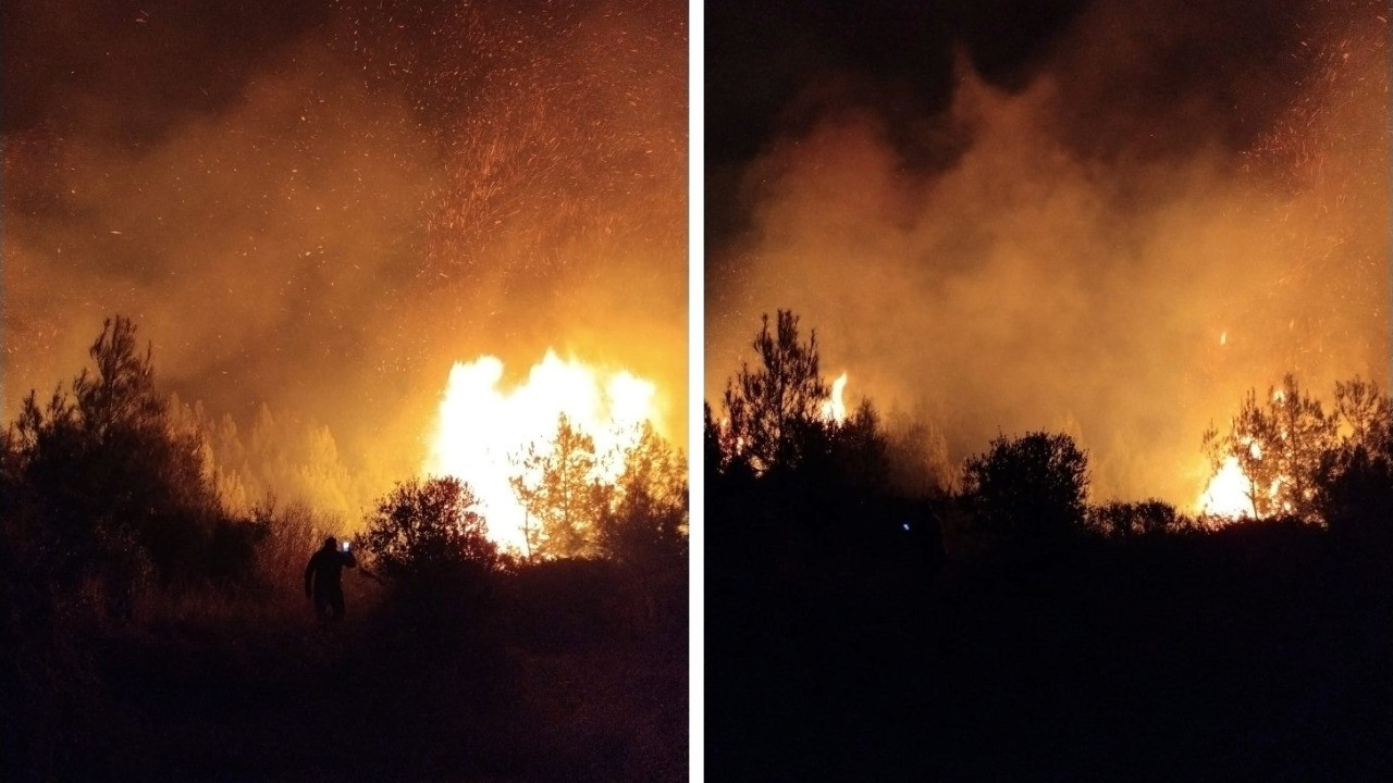 Antalya'da orman yangını