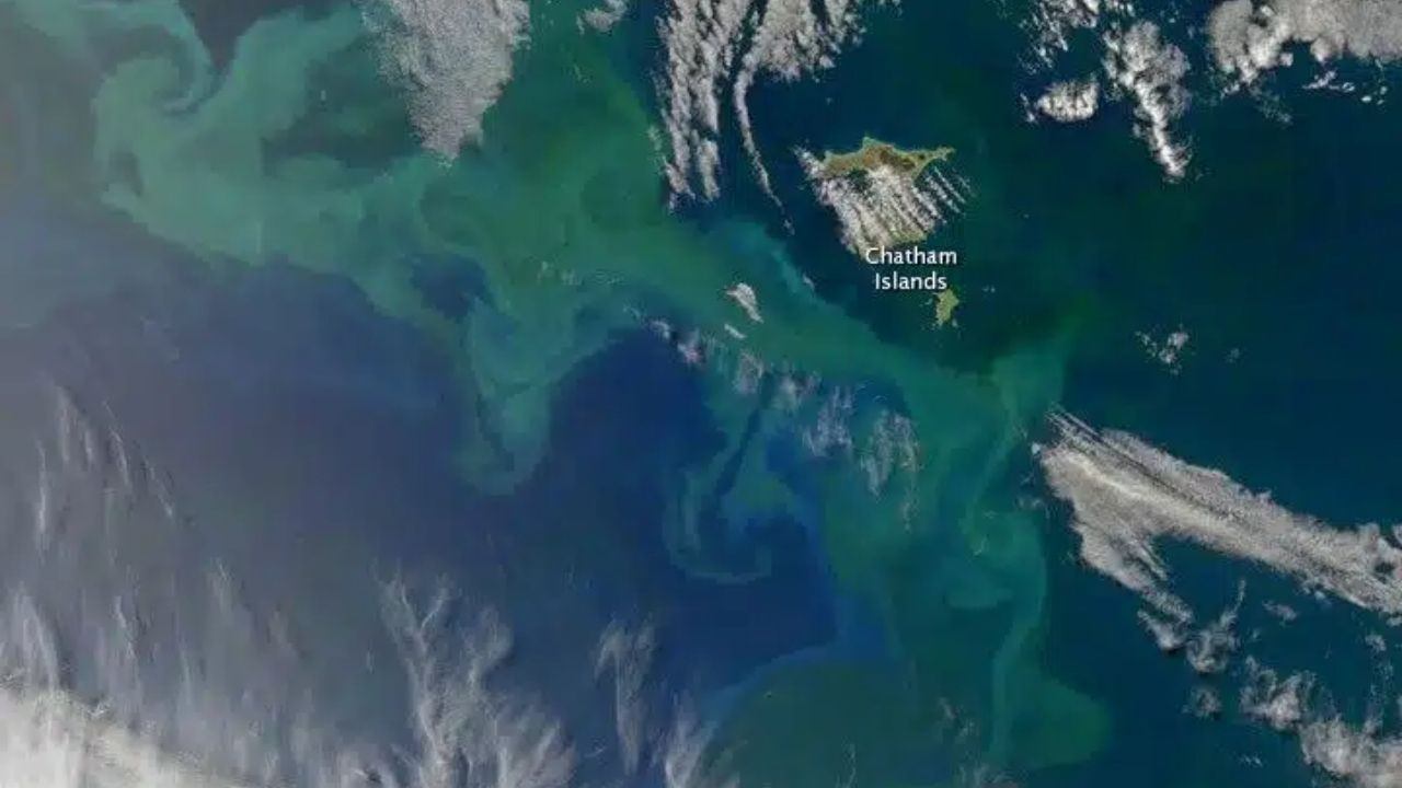 Uzaydan bile fark ediliyor... Okyanuslarda tehlikeli gelişme