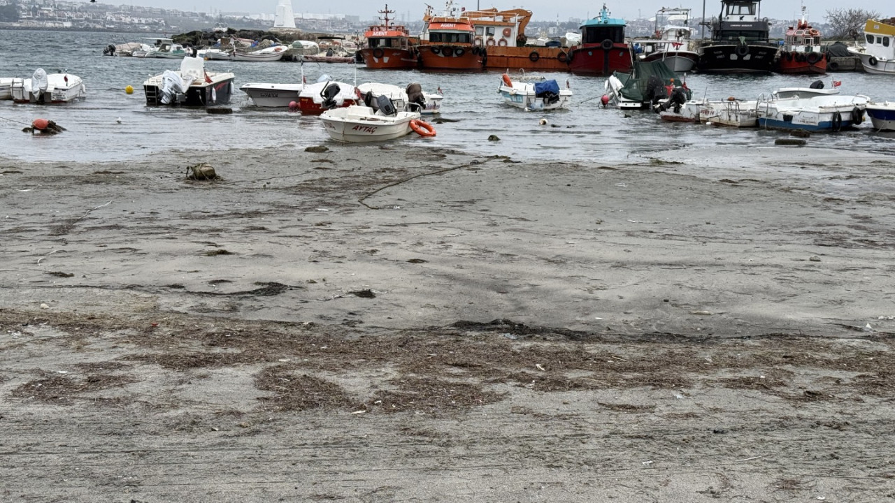 Marmara'da ürküten görüntü