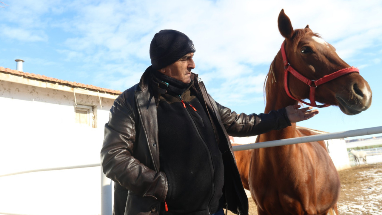 Atlar strese girmesin diye günde 24 saat mesai