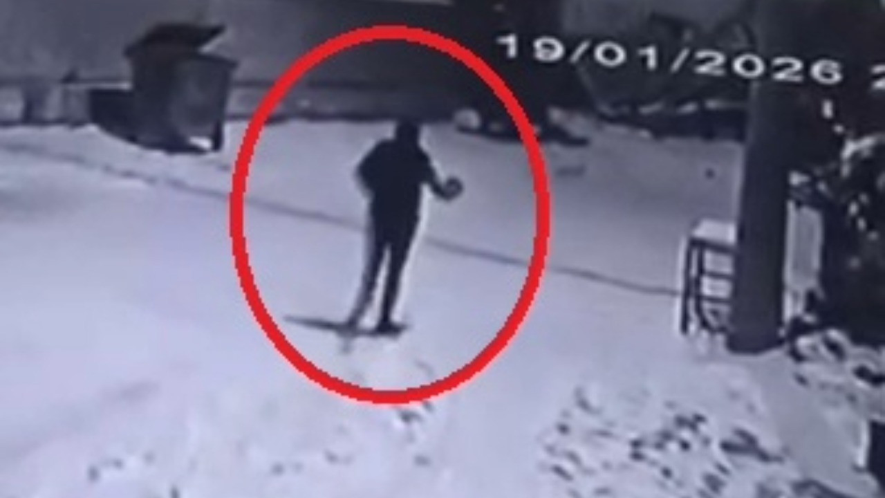 Mahalleye inen kurtları, elinde çaydanlıkla koşarak uzaklaştırdı