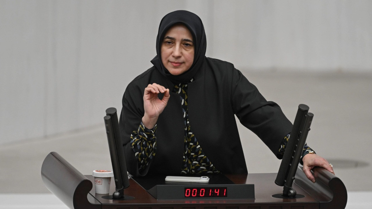 AKP'li Özlem Zengin'den 'gariban' açıklaması