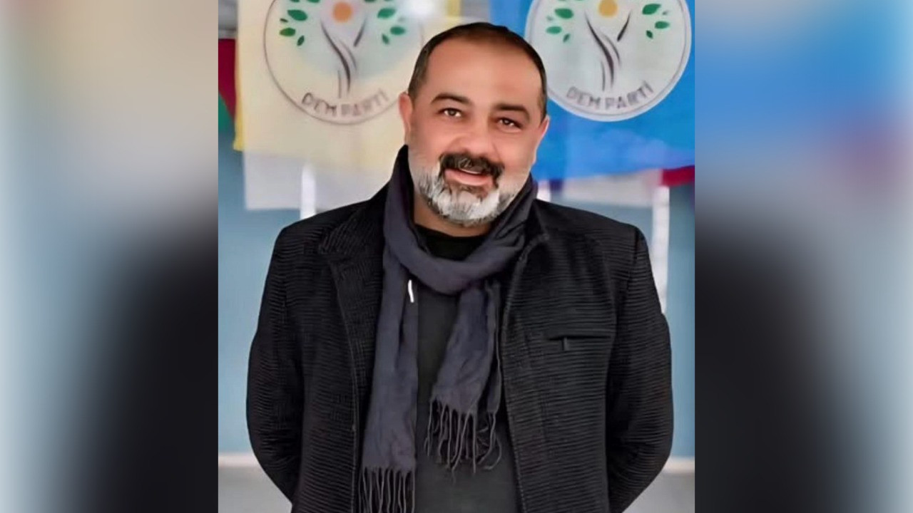 DEM Parti il eş başkanı tutuklandı