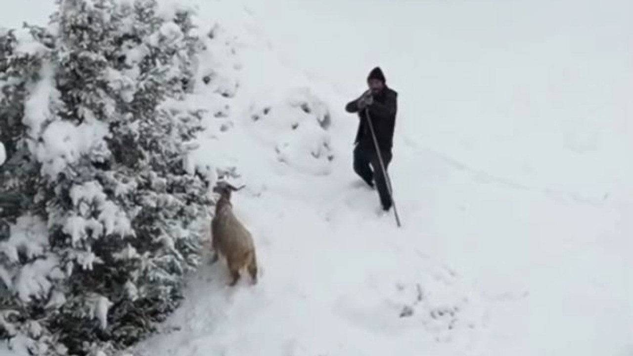 Görür görmez tüfeği doğrulttu: Vurabilirdi