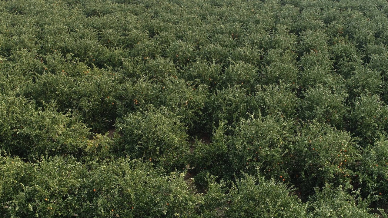 'Sanayiye bile verilemez hale geldi' dedi, kötü haberi verdi