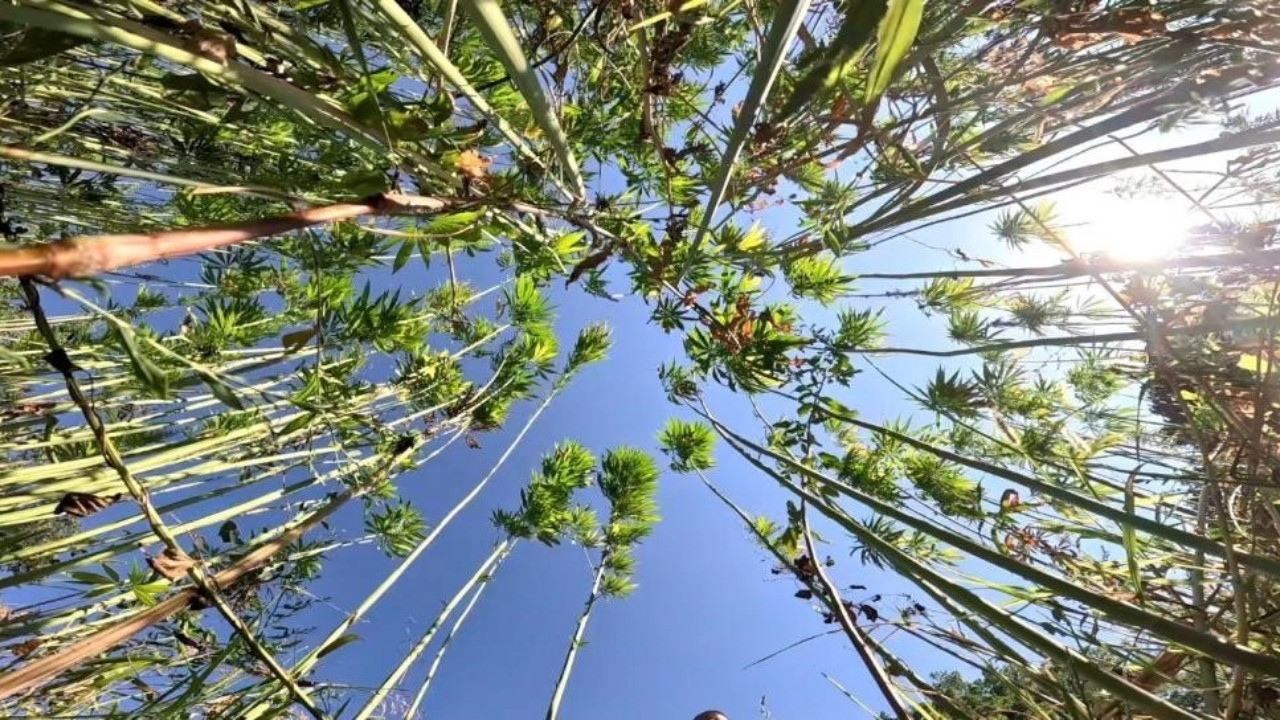 Üretim için son tarih uyarısı: Başvurular 1 Nisan'da bitiyor