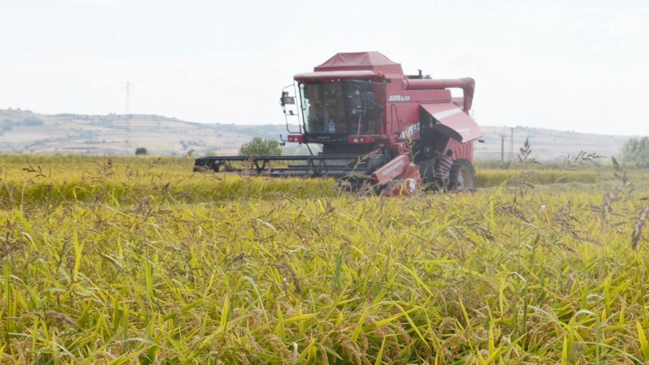 Fiyatlar açıklandı: Ton başına 40 bin TL