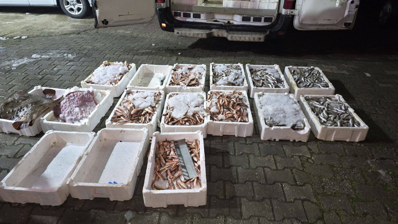 1,5 ton balığa el konuldu