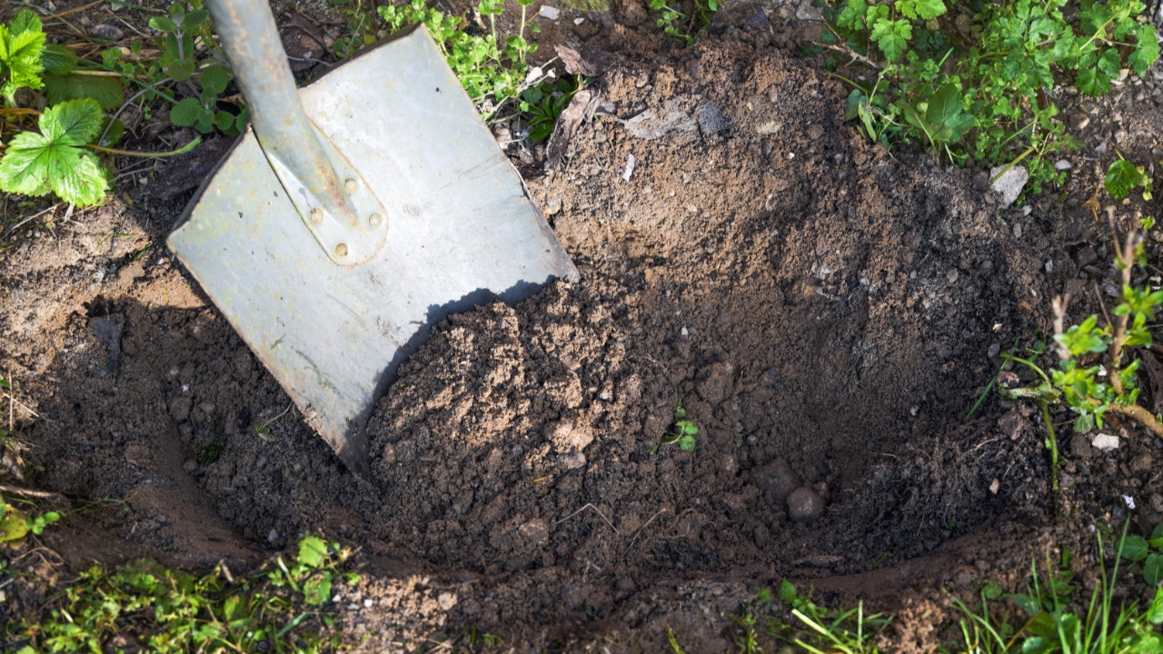 Aldıkları evin zemininden ceset üstüne ceset çıktı