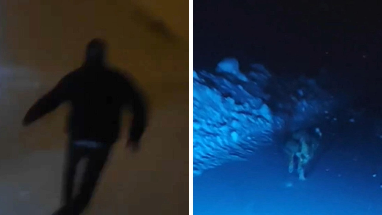 Gençlerin kurt merakı panikle bitti