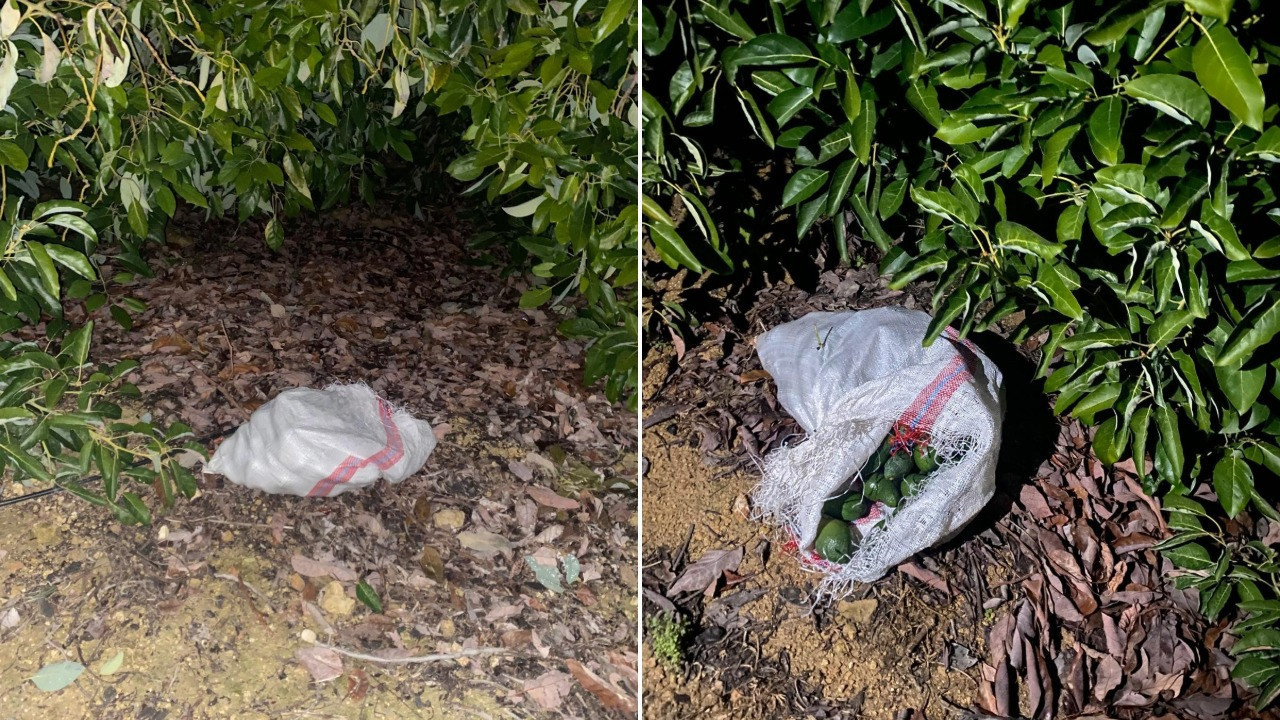 500 bin TL ediyordu: Jandarmayı görünce bırakıp kaçtılar