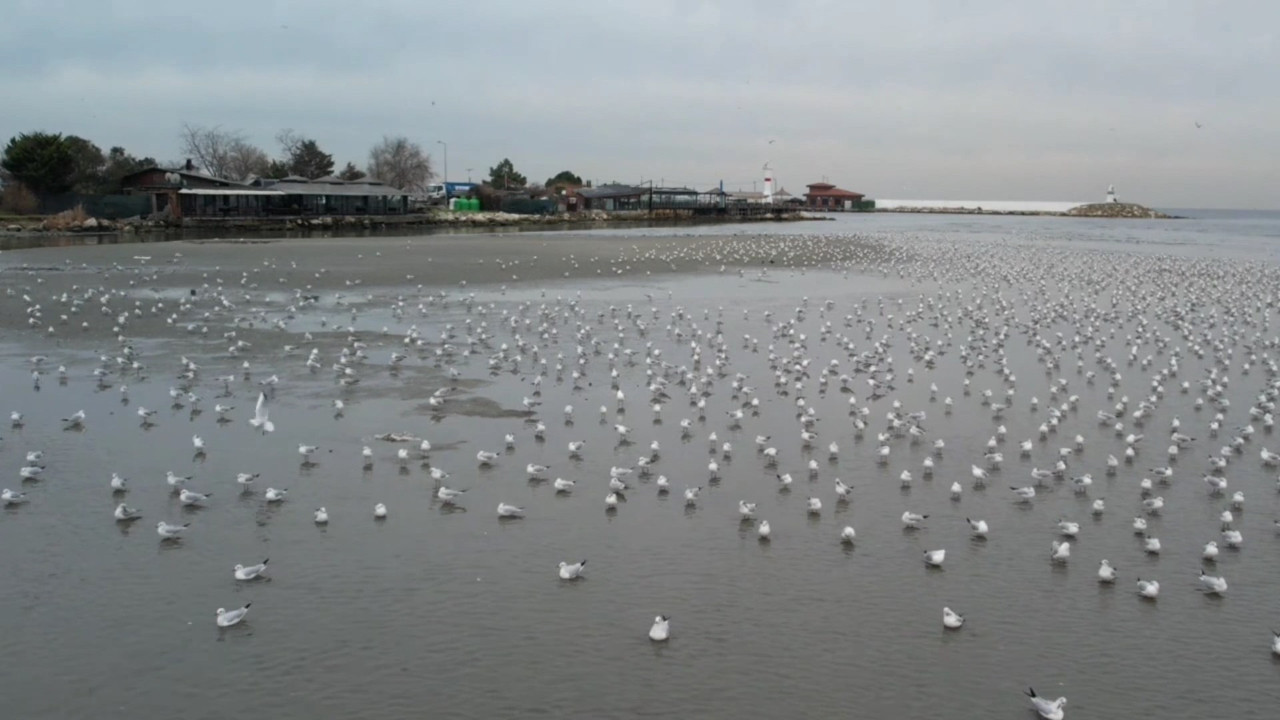 İstanbul'da deniz metrelerce çekildi
