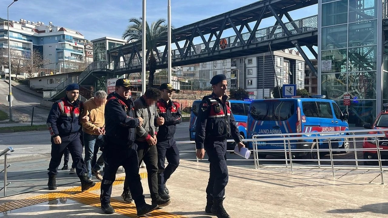 Avokado hırsızları adli kontrolle serbest