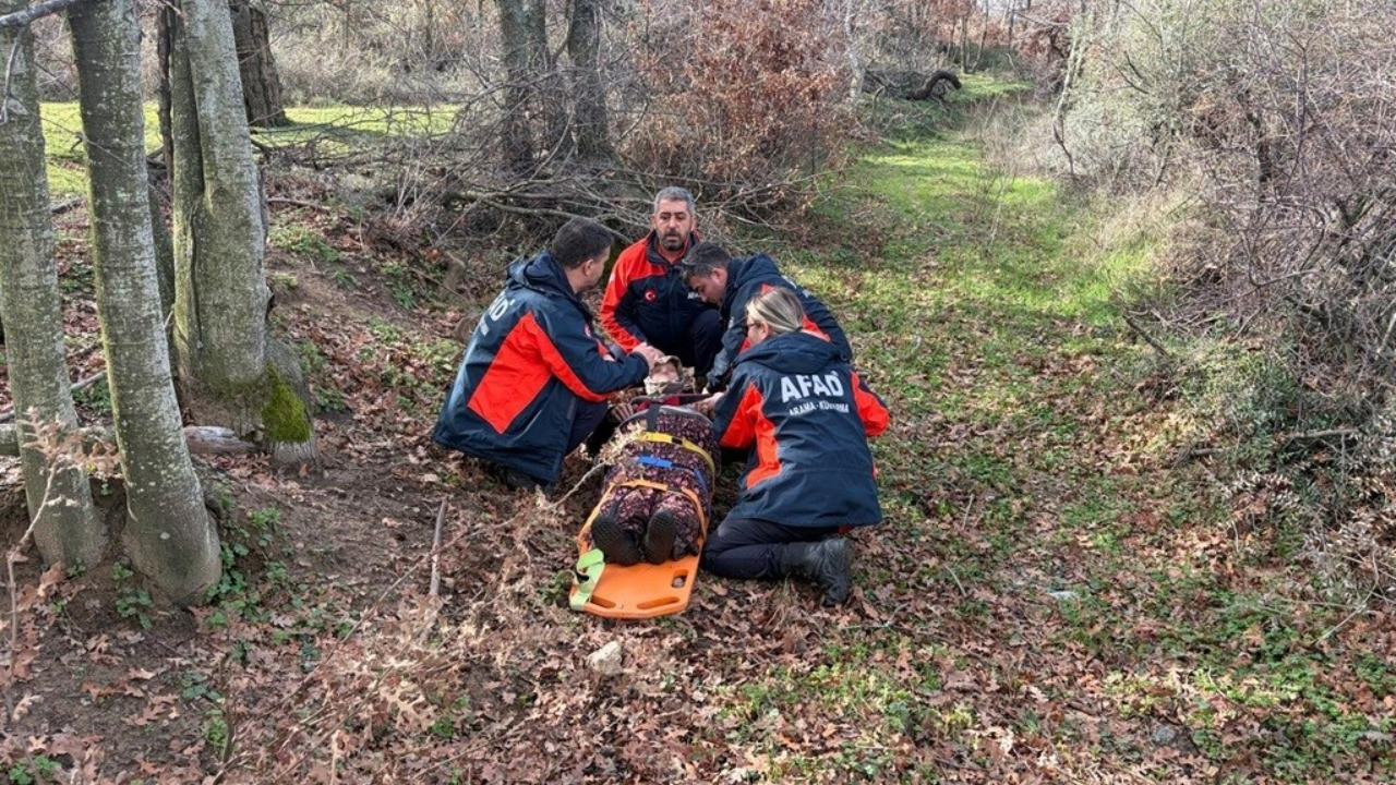 Kaybolan yaşlı kadın sağ bulundu