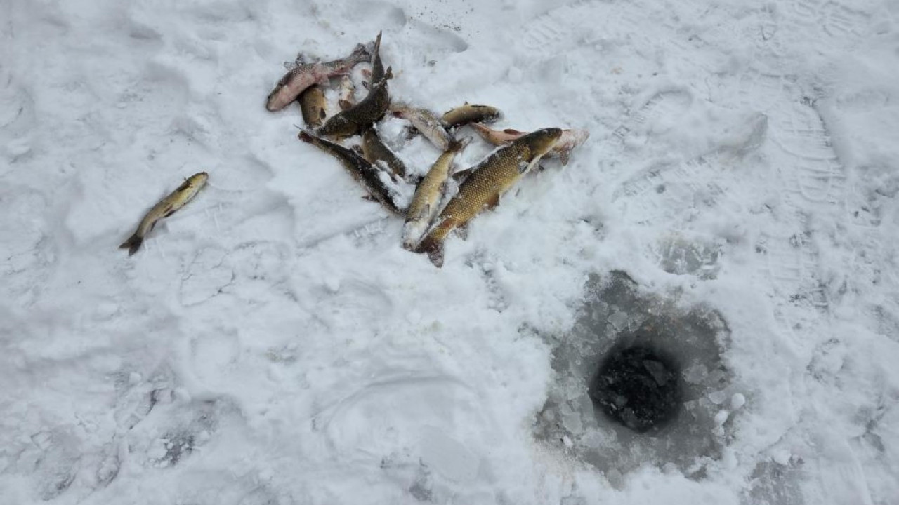 Türkiye'nin en uzun nehri dondu, balığı eskimo gibi yakaladılar