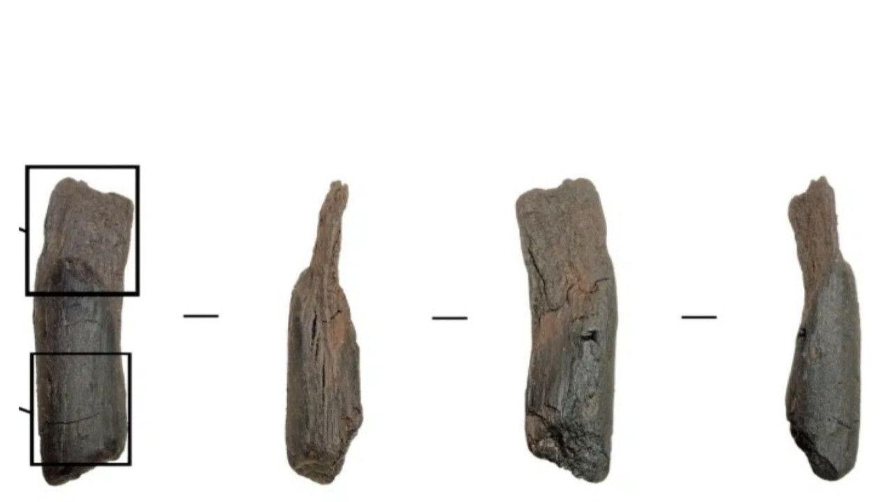 Dünyanın en eski tahta el aletleri keşfedildi