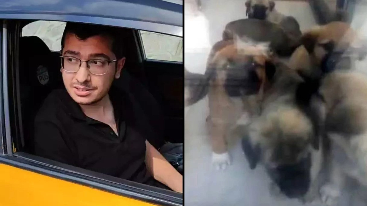 Köpekleri istismar edip öldürmüştü: İstinaf kararı bozdu