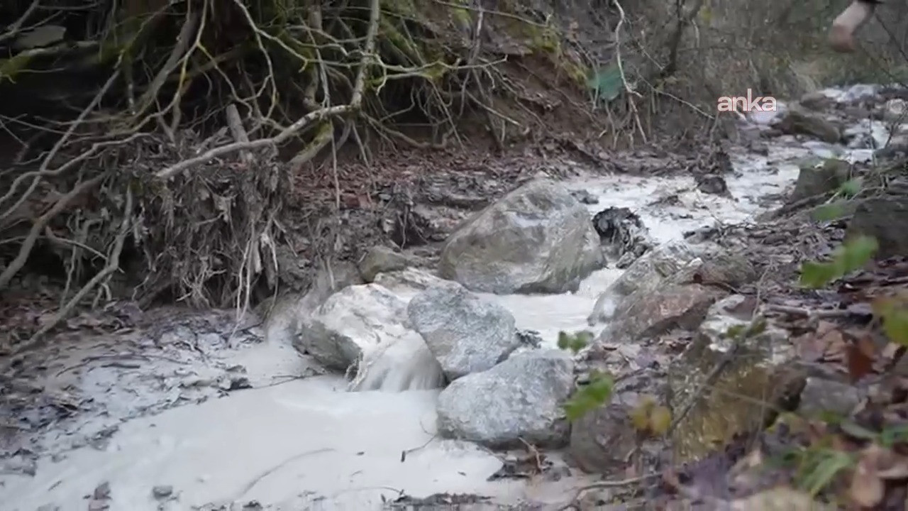 Bursa'da maden atık barajı çöktü: 'Çevre katliamı var'