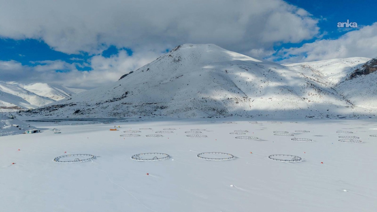 Yüzen adalar buz tuttu